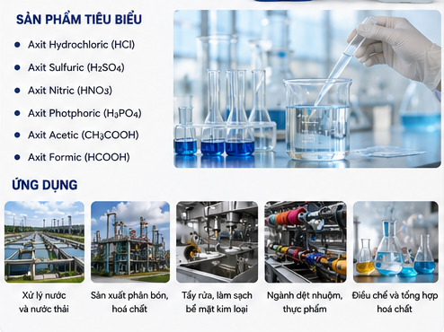 Axit cơ bản